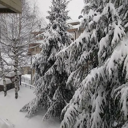 Abete Apartment Limone Piemonte